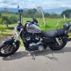 HARLEY DAVDSON SPORTSTER 883