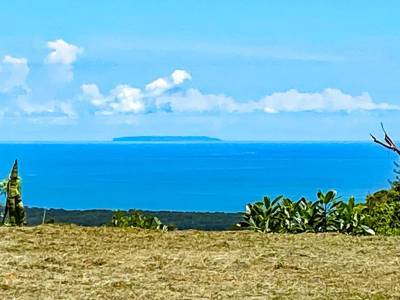 1.92-Acre Ocean View Lot in Gated Community Near Ojochal