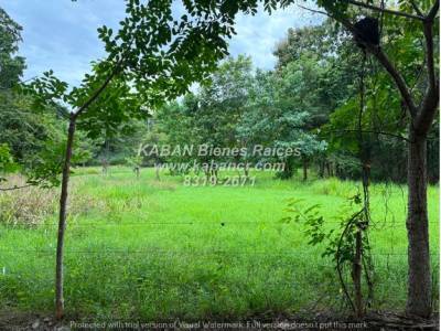 Venta Terreno Zapotal