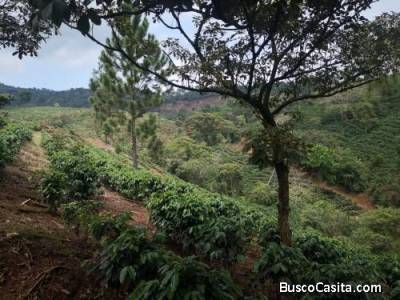 SE VENDE ESPECTACULAR FINCA CAFETALERA EN NARANJO DE ALAJUELA.