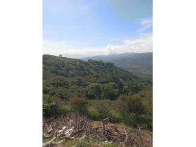 Venta Terreno Atenas