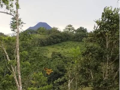 Venta Finca Monterrey